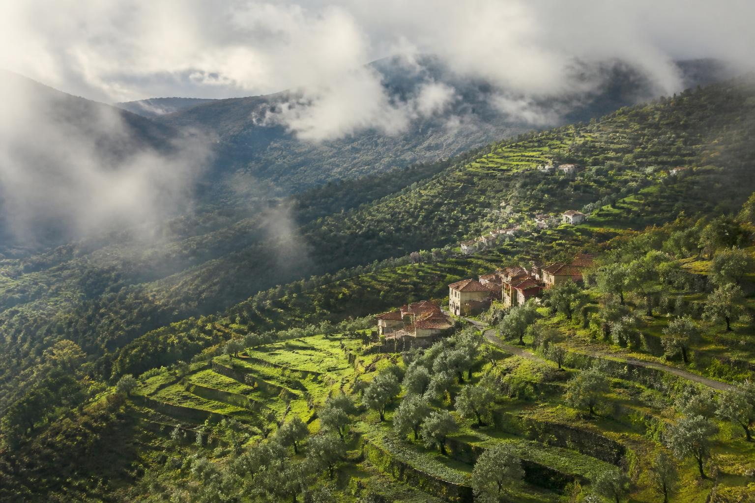 Valles verdes y olivares